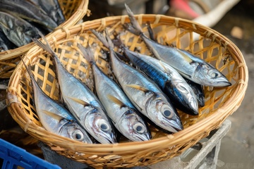 新鲜的一篮子海鱼