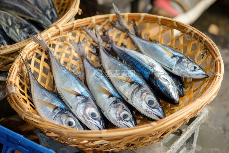 高清大图下载【趣麦麦图】新鲜的一篮子海鱼