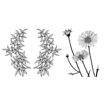 黑白线条花卉设计图案