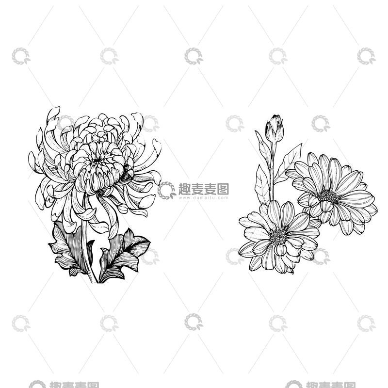 源文件下载【趣麦麦图】-线描花卉图案插画设计素材