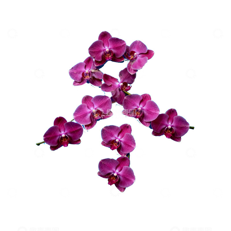 高清大图下载【趣麦麦图】6创意汉字冬拼贴画