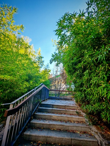 绿意盎然台阶景观