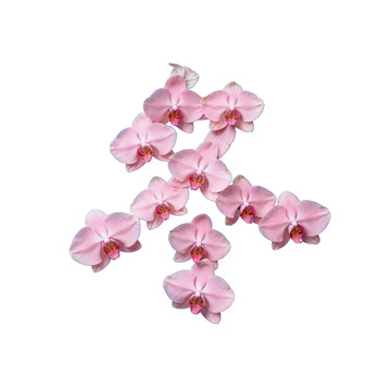 2创意汉字冬拼贴画