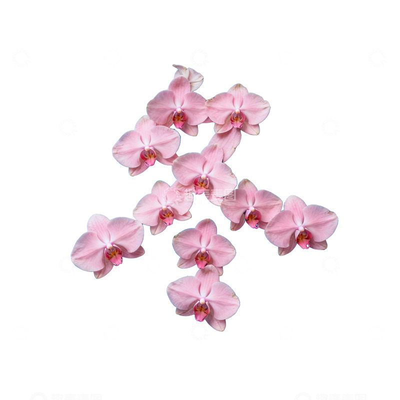 高清大图下载【趣麦麦图】-2创意汉字冬拼贴画