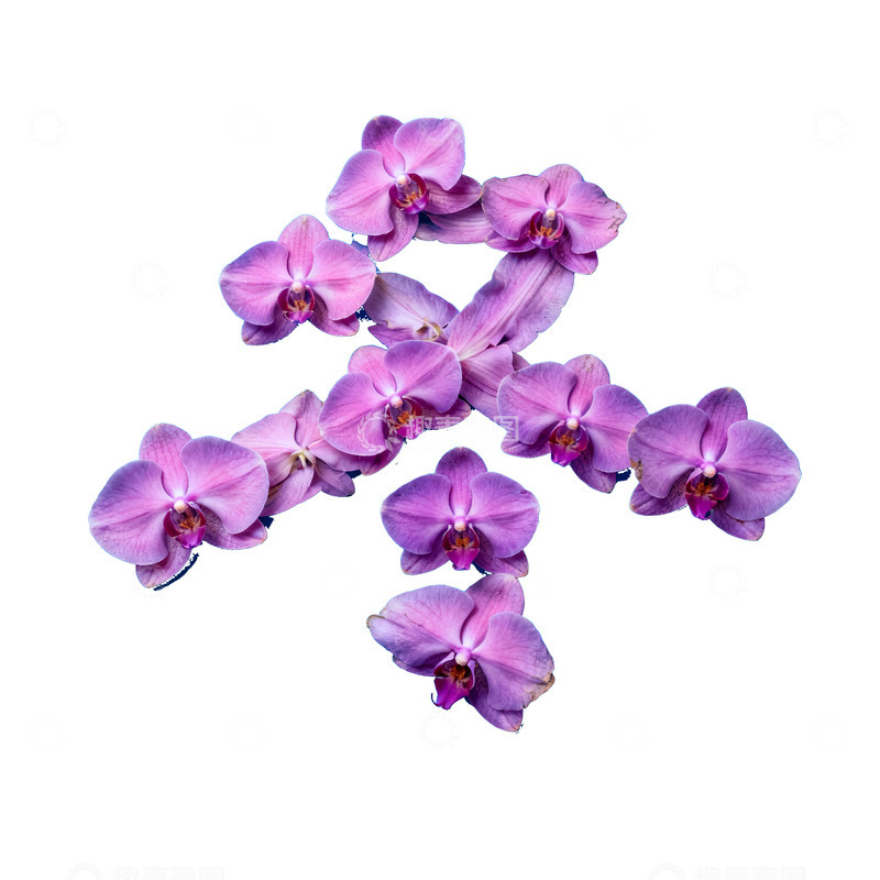 高清大图下载【趣麦麦图】4创意汉字冬拼贴画