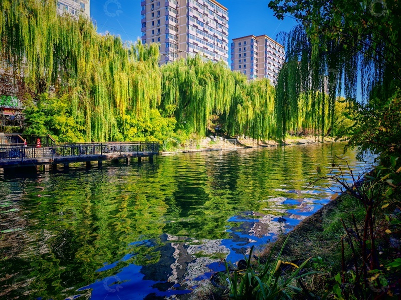 高清大图下载【趣麦麦图】城市公园湖泊风光