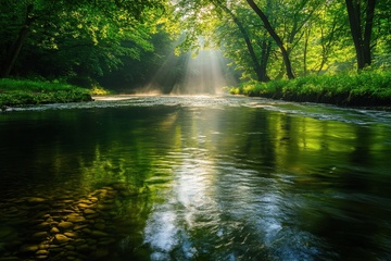 夏季丛林河流自然美景