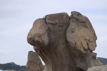 一个奇形怪状的石头