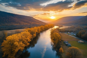 河流树木自然美景