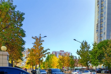 城市秋景街景摄影图