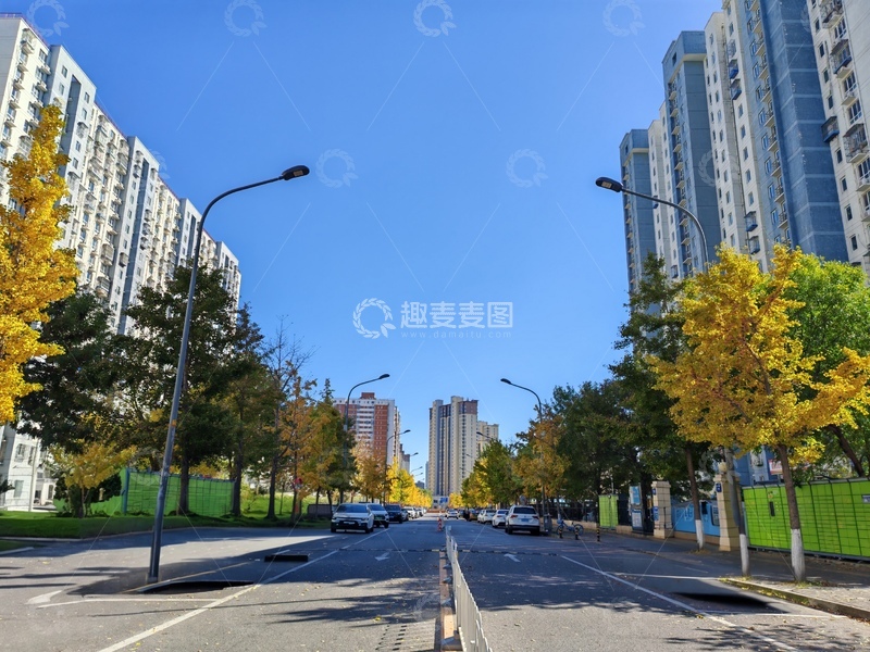 高清大图下载【趣麦麦图】城市秋景大道风光摄影