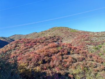 秋意浓浓山峦景