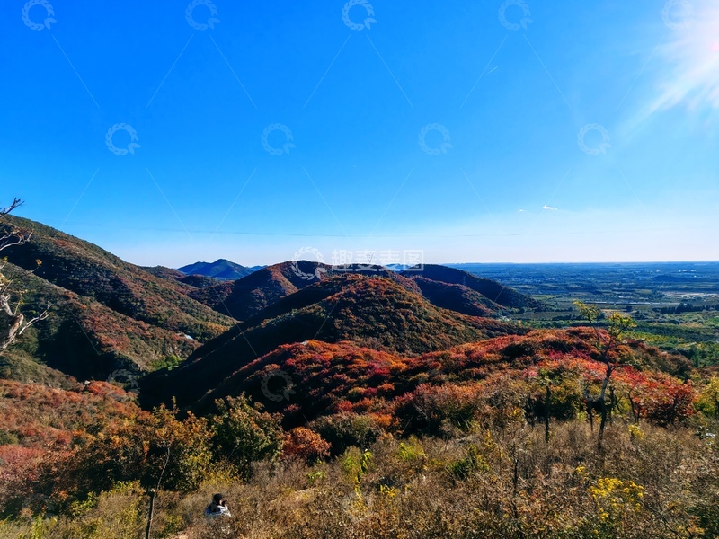 高清大图下载【趣麦麦图】秋山红叶风光摄影