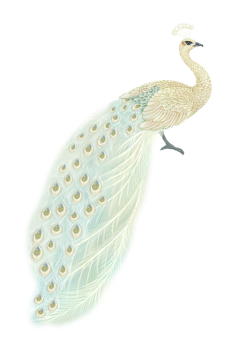 梦幻唯美白孔雀插画