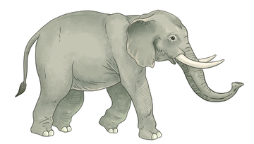 手绘行走的灰色云南大象