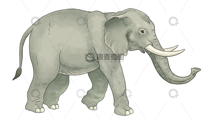 手绘行走的灰色云南大象