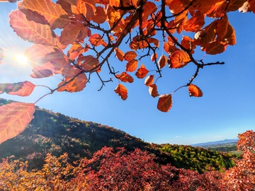 秋叶山村风光摄影图片