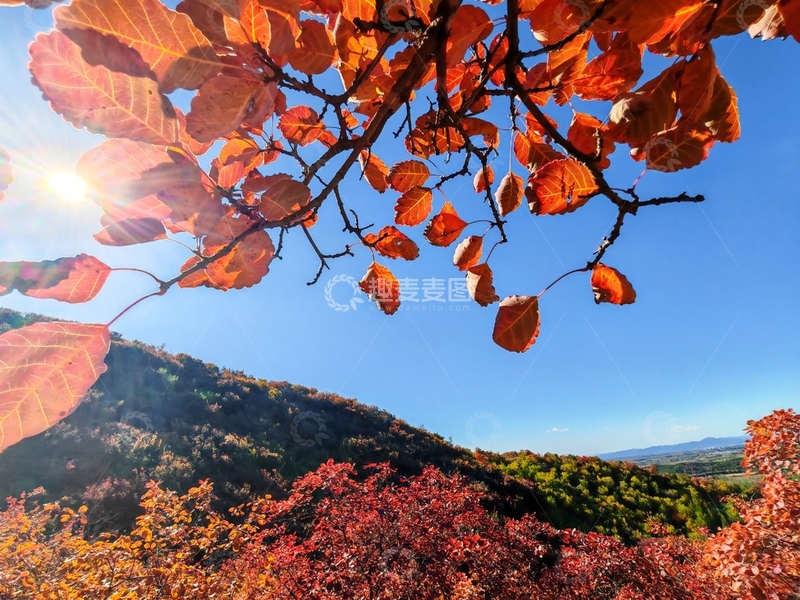 高清大图下载【趣麦麦图】秋叶山村风光摄影图片