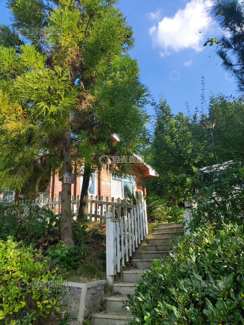 高清大图下载【趣麦麦图】小镇美好生活