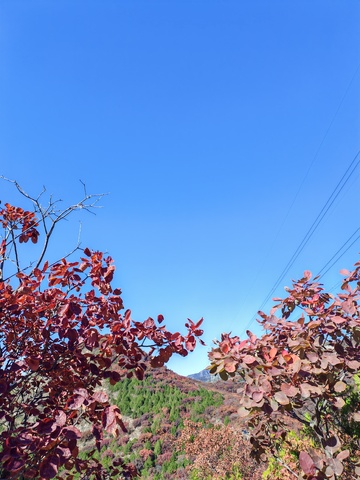 秋叶红蓝天山景