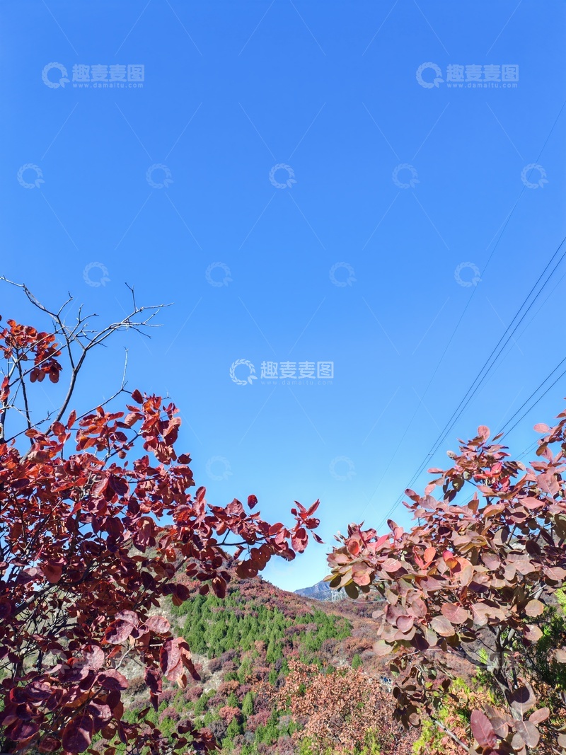 高清大图下载【趣麦麦图】秋叶红蓝天山景