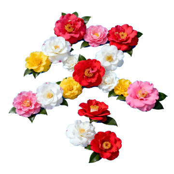 冬天艺术字素材