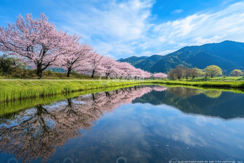 高清大图下载【趣麦麦图】户外桃花湖泊自然美景