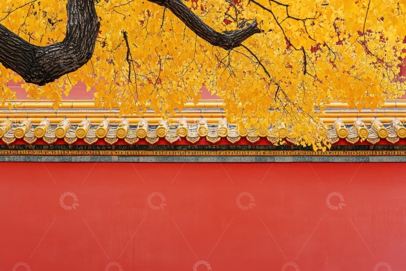 高清大图下载【趣麦麦图】-秋季红墙金色树叶