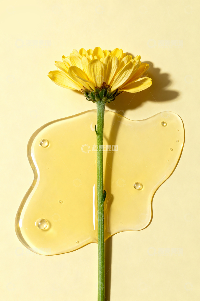 源文件下载【趣麦麦图】雏菊静物摄影2