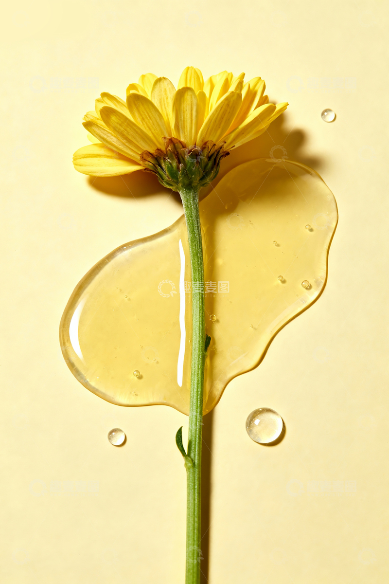 源文件下载【趣麦麦图】雏菊静物摄影3