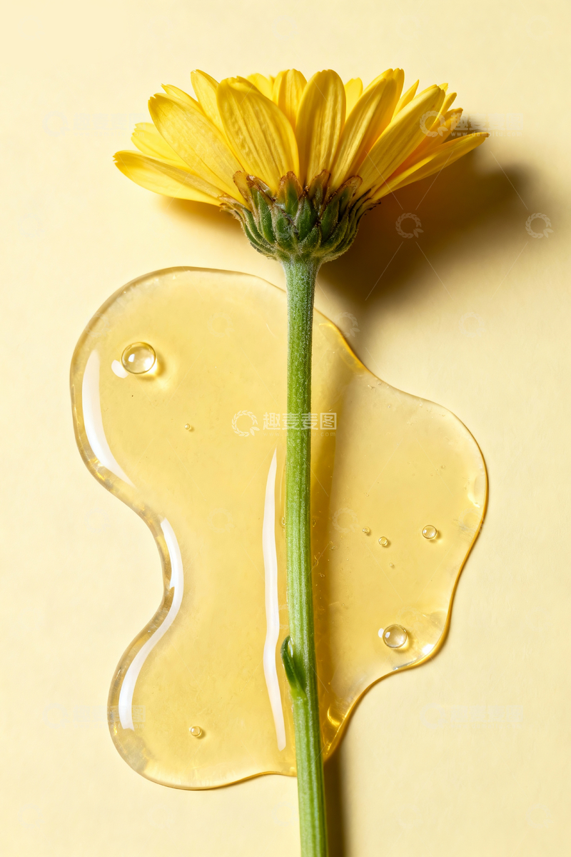 源文件下载【趣麦麦图】雏菊静物摄影5