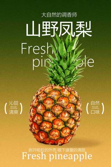 山野凤梨水果宣传海报