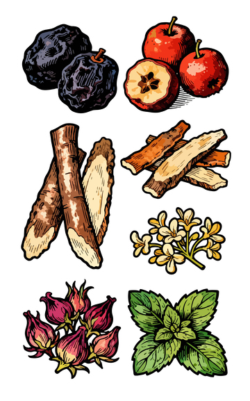 手绘果蔬药材插画设计元素