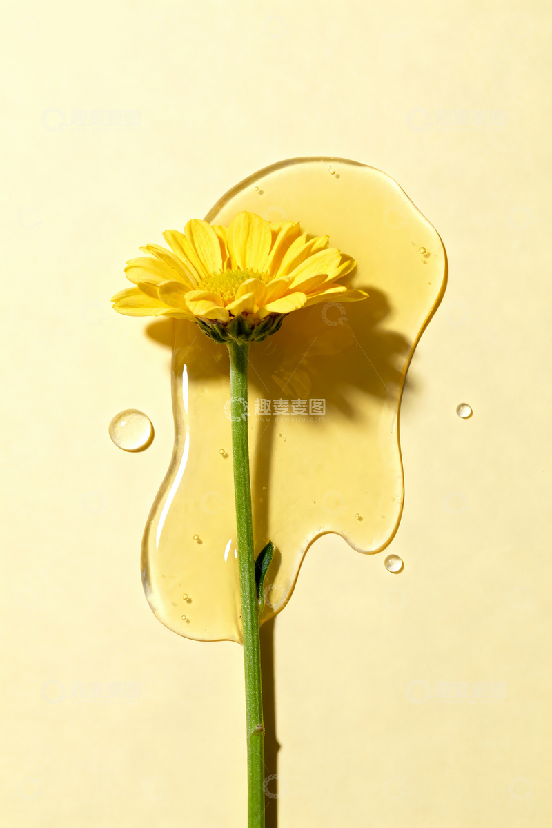 源文件下载【趣麦麦图】雏菊静物摄影7