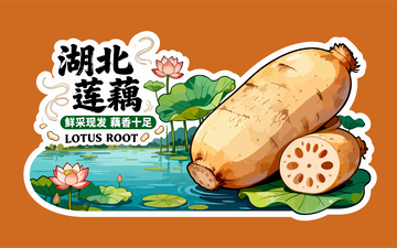 插画风格湖北莲藕宣传设计素材