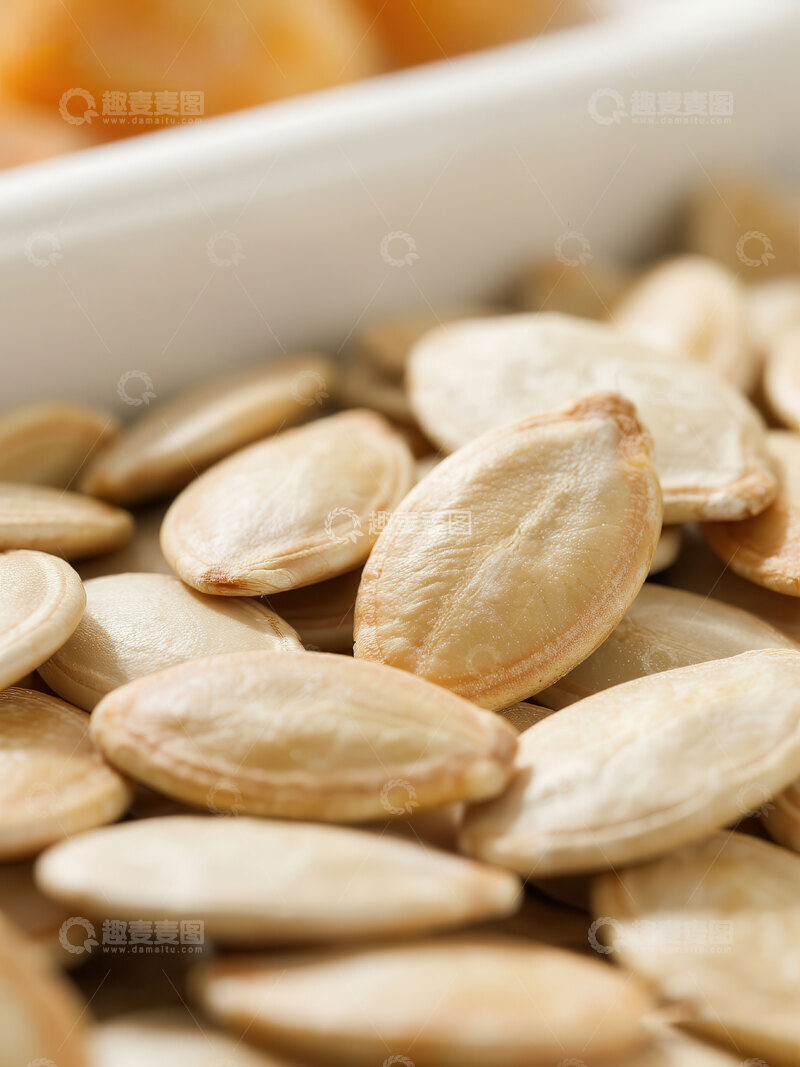 高清大图下载【趣麦麦图】瓜子  嗑香  原香  