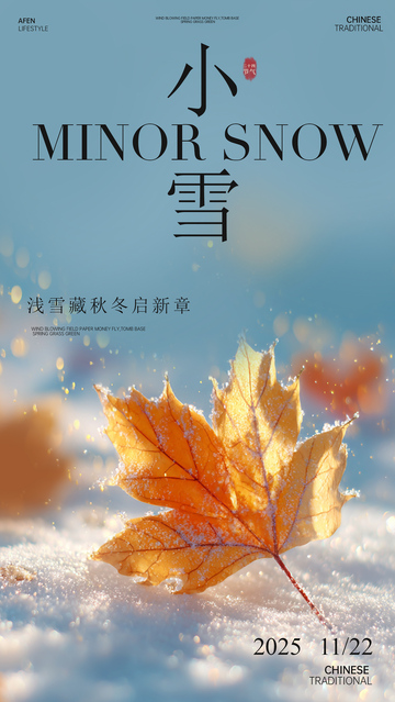 小雪节气秋叶雪景海报设计