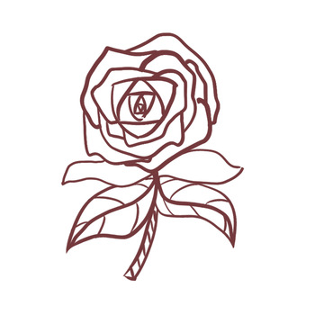 线描风格玫瑰花图案