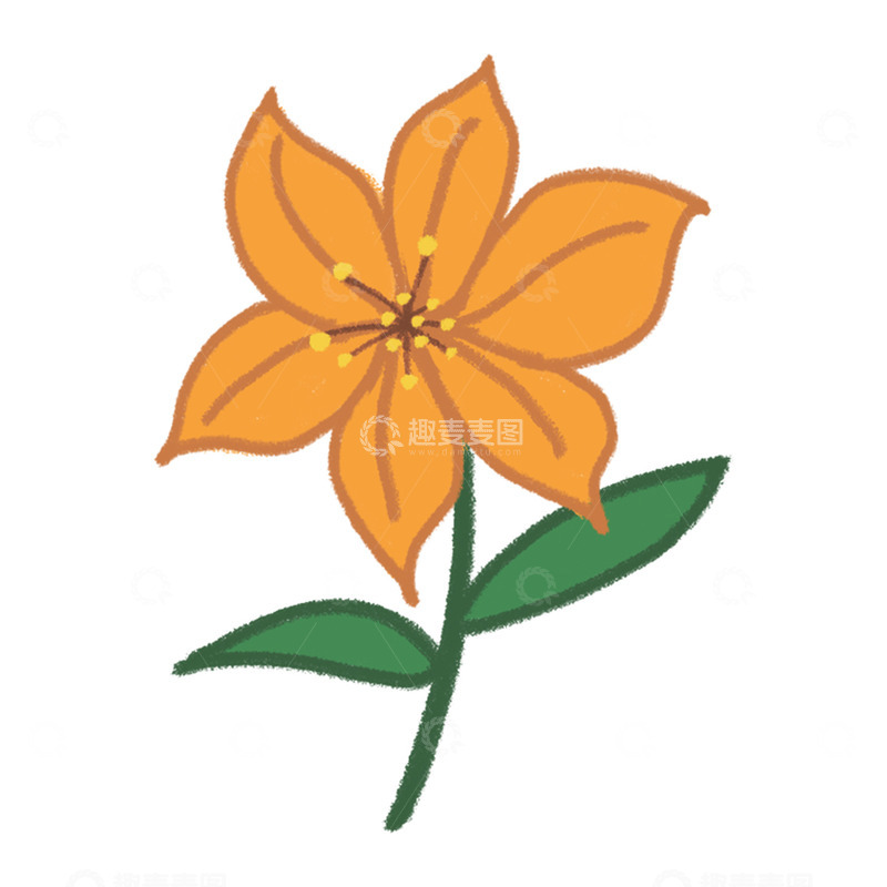 高清大图下载【趣麦麦图】-简约卡通橙花插画设计素材