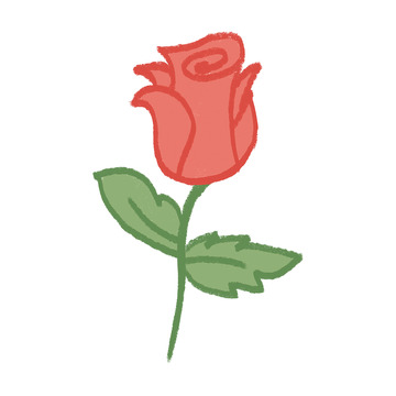 简约风玫瑰花插图设计素材