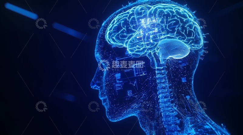 高清大图下载【趣麦麦图】科技感人脑结构3D渲染图