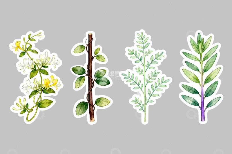 源文件下载【趣麦麦图】-金银花草药贴纸3