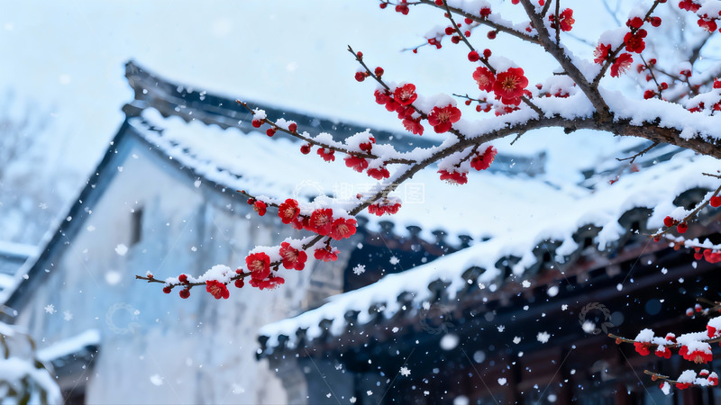 高清大图下载【趣麦麦图】-冬日雪景梅花建筑
