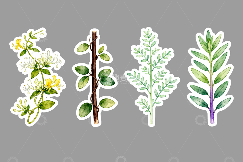 源文件下载【趣麦麦图】-金银花草药贴纸4