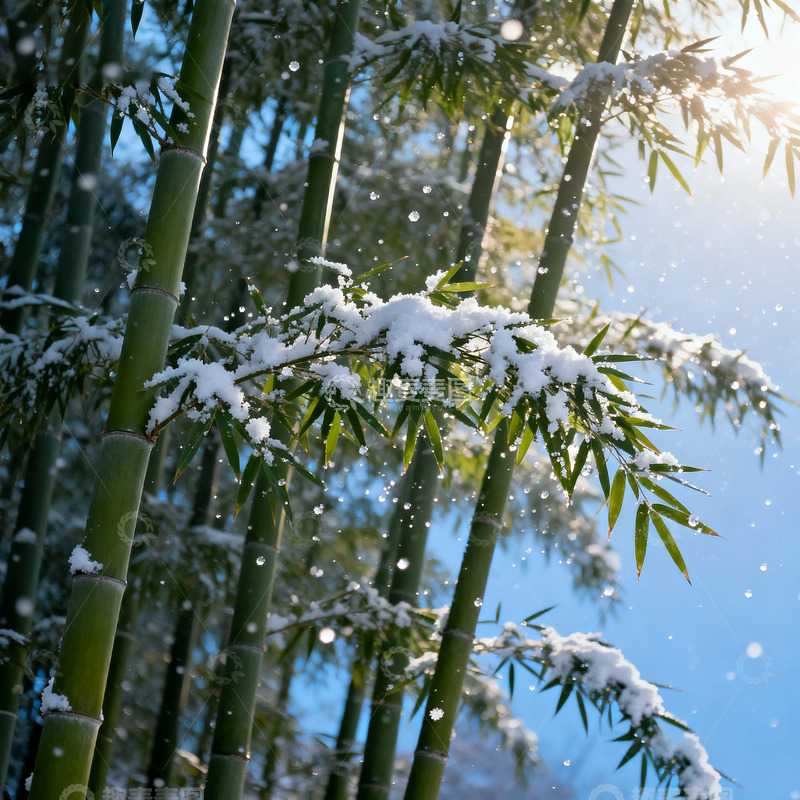 高清大图下载【趣麦麦图】雪后竹林风景摄影2