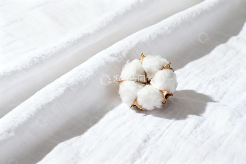 高清大图下载【趣麦麦图】棉花纯棉棉絮特写4