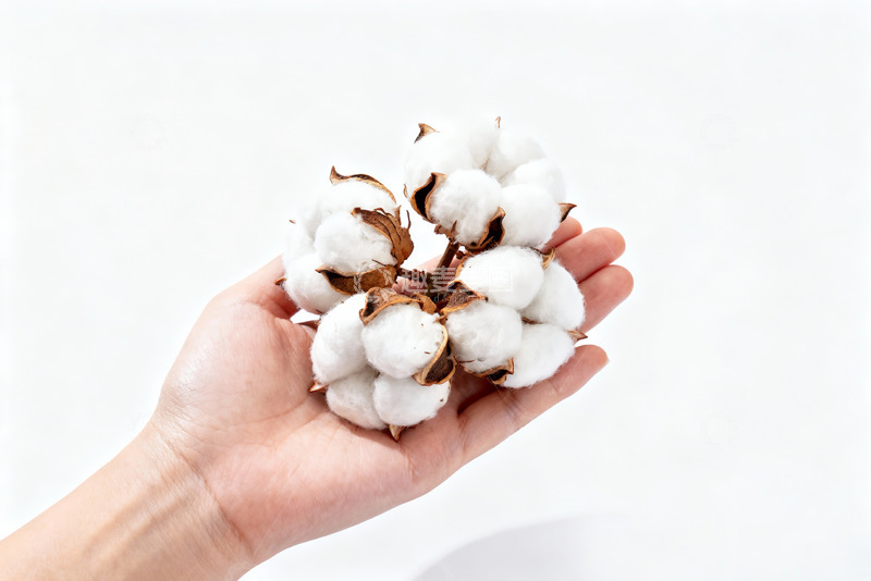 高清大图下载【趣麦麦图】棉花纯棉棉絮特写9