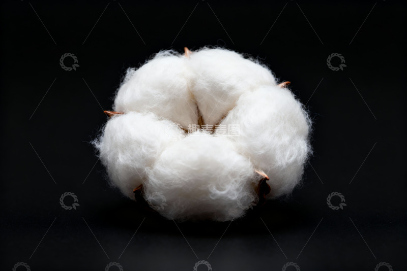 高清大图下载【趣麦麦图】棉花纯棉棉絮特写14