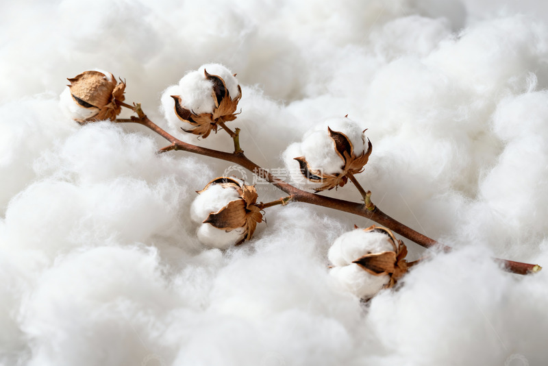 高清大图下载【趣麦麦图】棉花纯棉棉絮特写11