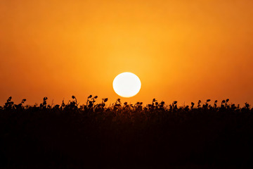 秋季晚霞夕阳西下0